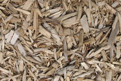biomass boilers Wicken