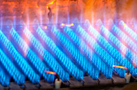 Wicken gas fired boilers